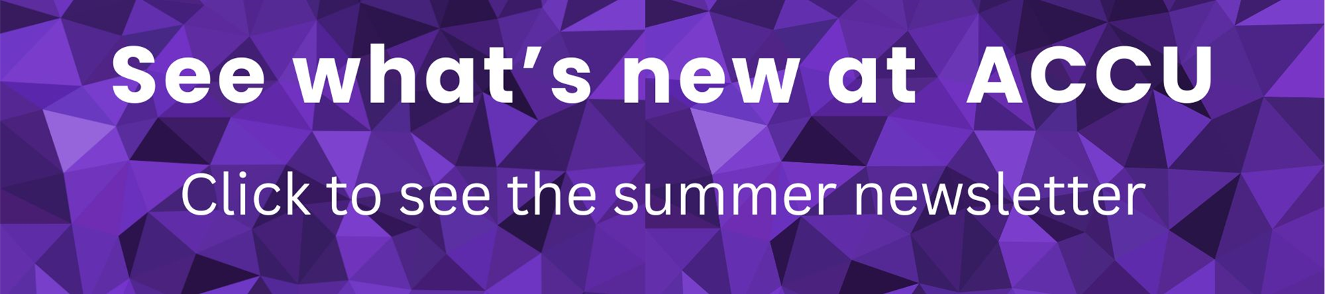 Summer 2025 Newsletter
